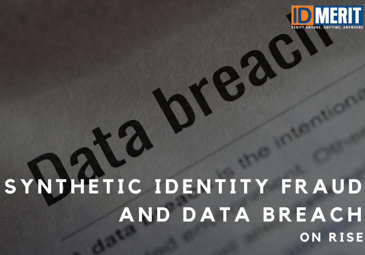 Synthetic Identity Fraud